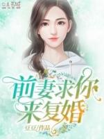 前妻求你复婚吧全文阅读免