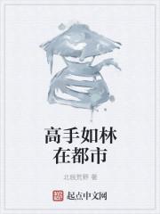 高手如林什么意思