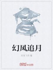 挽风追月什么意思