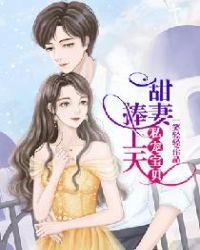 帝少私宠宝贝妻完整版