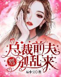 婚情告急总裁前夫别乱来全文