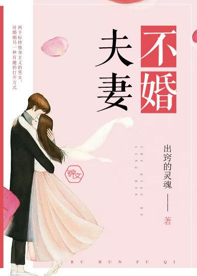 不婚夫妻免费阅读全文