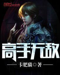 高手无敌完整版