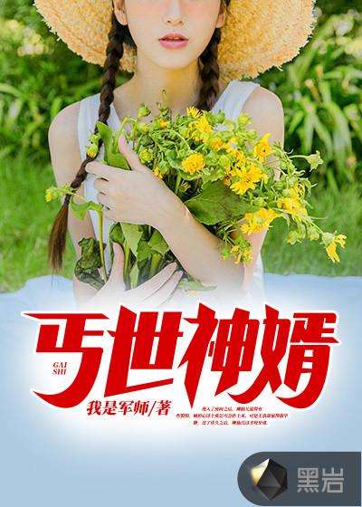 丐世神婿全文免费阅读最新章节