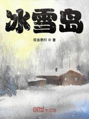 冰雪岛 冷却液