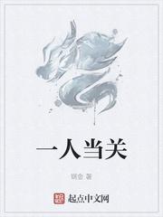 一人当关猜数字