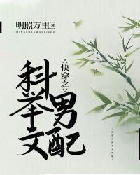 穿成科举文男