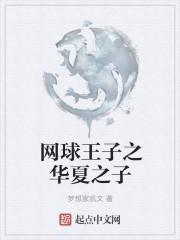 网王华夏网球