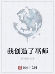 我创造了巫师TXT