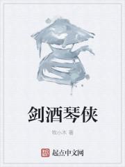 剑琴是什么意思