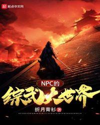 npc的综武大世界起点