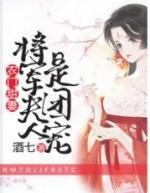 农门甜妻将军夫人是团宠酒七相似的