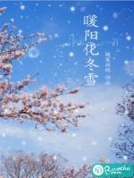 她以暖阳吻冬雪