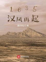 1635汉风再起地图演示