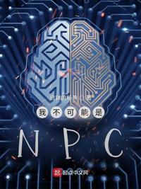 我不可能是npc启封的秘典