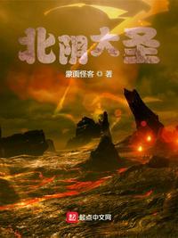 北阴大圣无错版