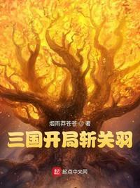 三国开局斩关羽作者烟雨莽苍苍