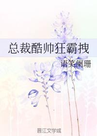 总裁酷帅狂霸拽讲的是什么