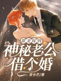 神秘老公借个婚全文