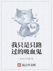 我只是路过英语怎么说