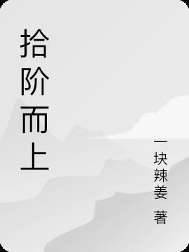 拾级而上是什么意思