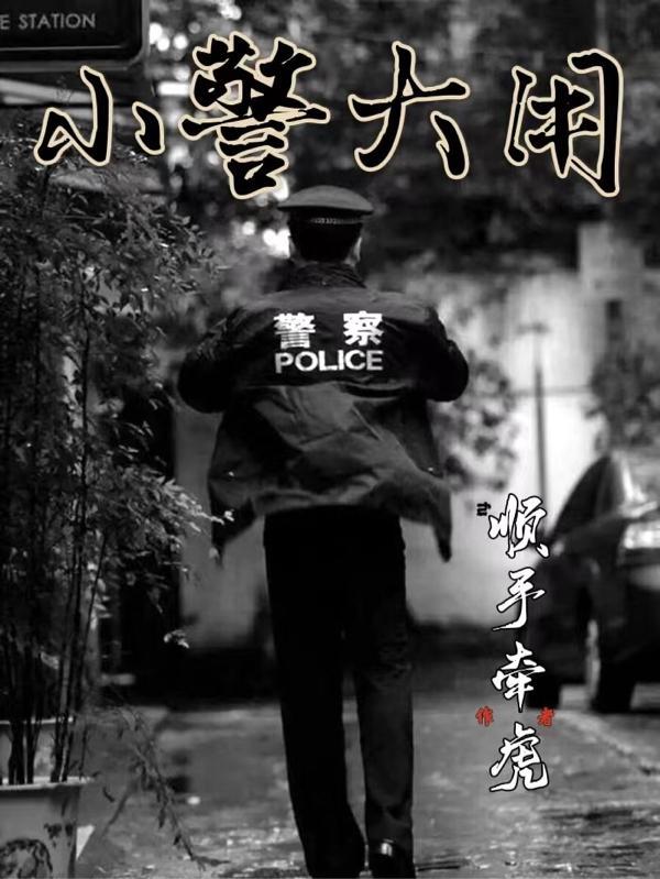 小警大用观看顺序