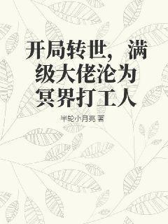 开局满级大佬文