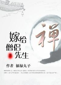 嫁给僧侣先生讲的是什么