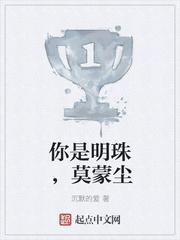 明珠蒙尘是什么意思