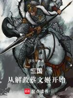 三国大时代解救蔡文姬