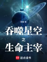 吞噬星空之主宰免费阅读