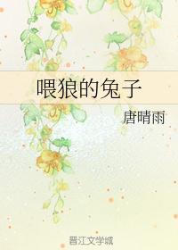 喂狼的兔子唐晴雨