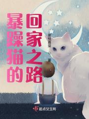 暴躁猫的回家之路漫画