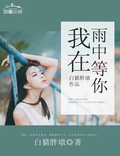 贺小姐复婚吧免费阅