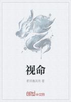 视命是什么意思