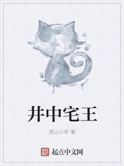 井中王是什么意思