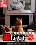 猫行天下与爱同行