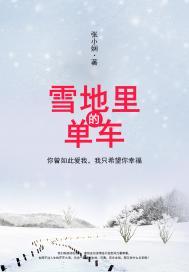 雪地里的单车读后感