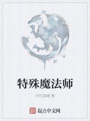 白魔法师阵容