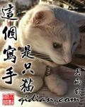 这个写手是只猫英文