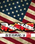 寻宝美利坚类似的