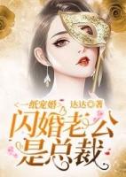 一纸宠婚闪婚老公是总裁