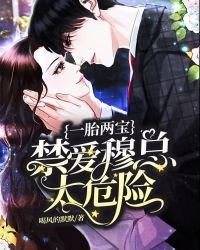 一胎双宝:禁爱穆总太危险