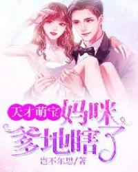 天才萌宝:妈咪,爹地瞎了