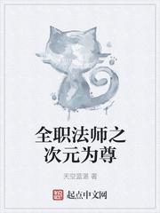 全职法师之次元为尊