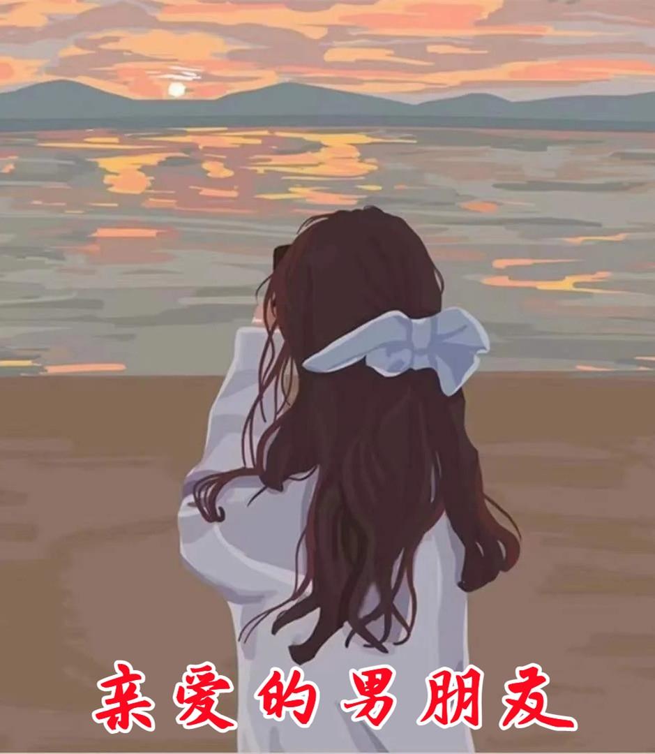 秦若水薄夜沉律师