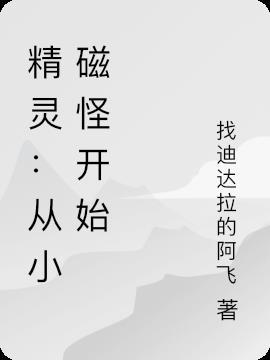 精灵：从小磁怪开始