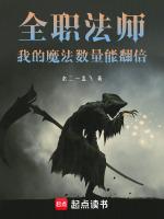 全职法师：我的魔法数量能翻倍