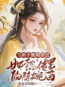 甄嬛来到大如传