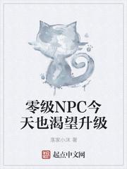 零级NPC今天也渴望升级